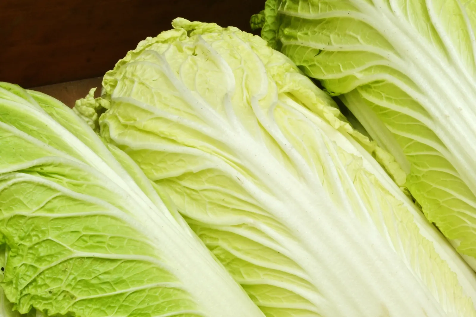 葉野菜
