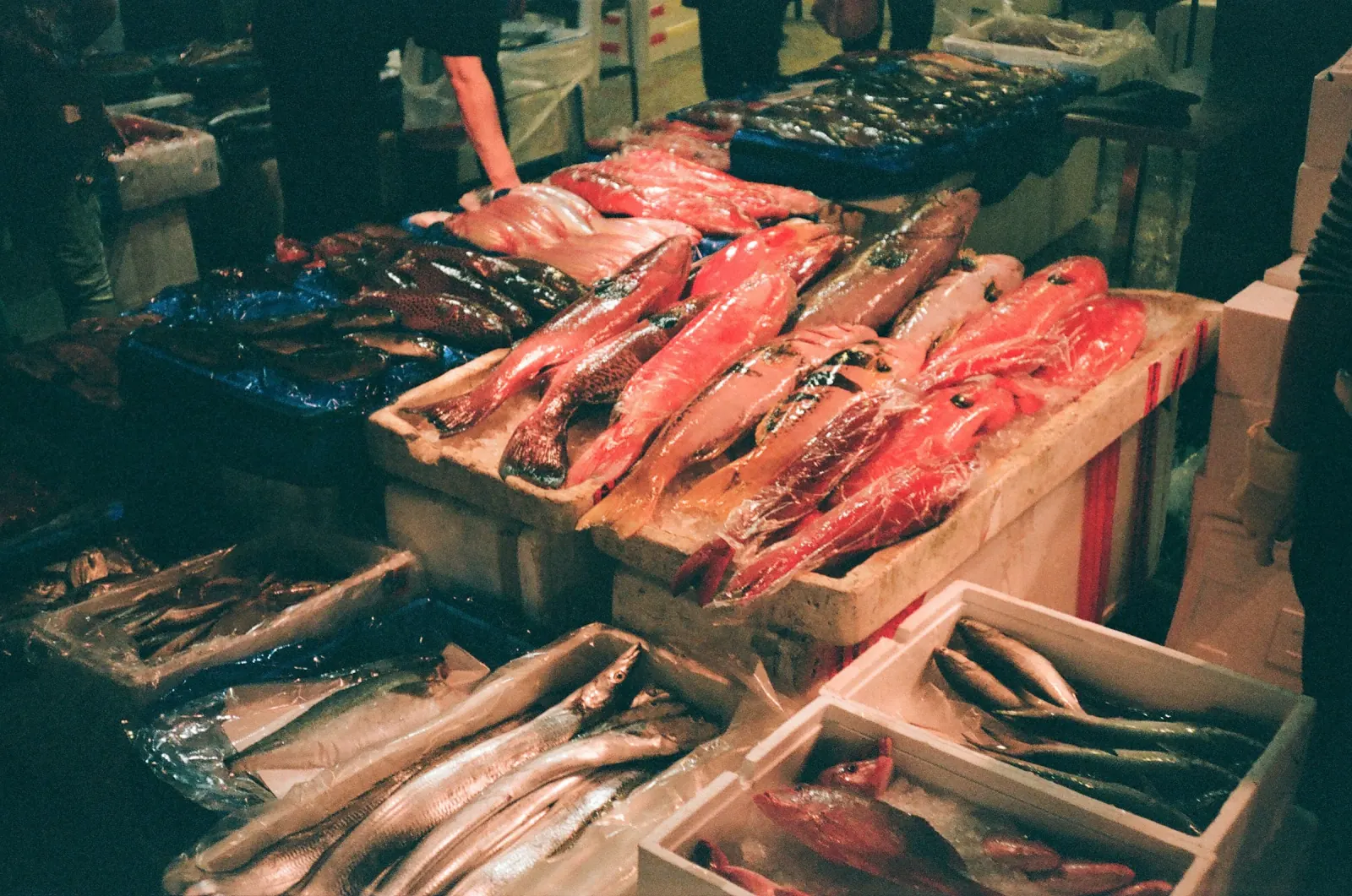 魚市場の新鮮な魚介